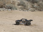 ECX Roost Desert Buggy 4WD 1:18 pomarańczowy